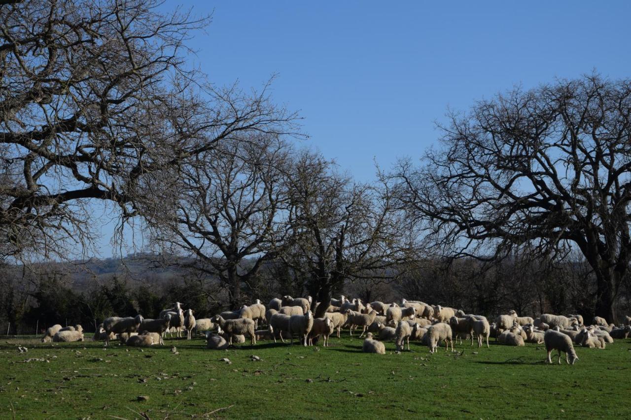 Agriturismo Bio Aia Della Colonna ساتورنيا المظهر الخارجي الصورة